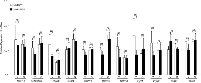 Figure 5.