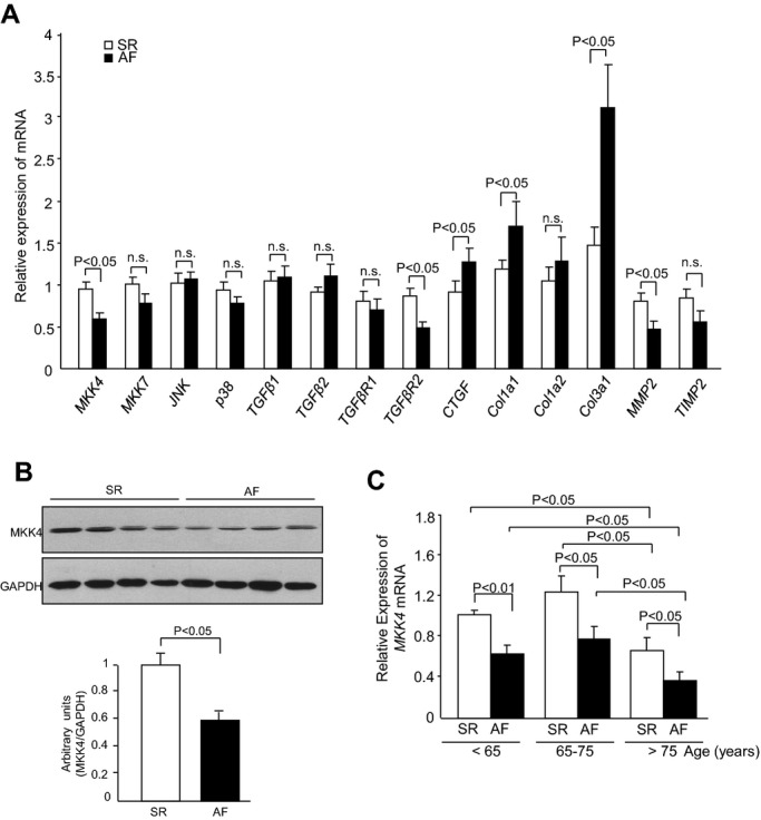 Figure 10.