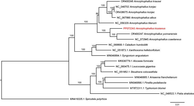 Figure 3.