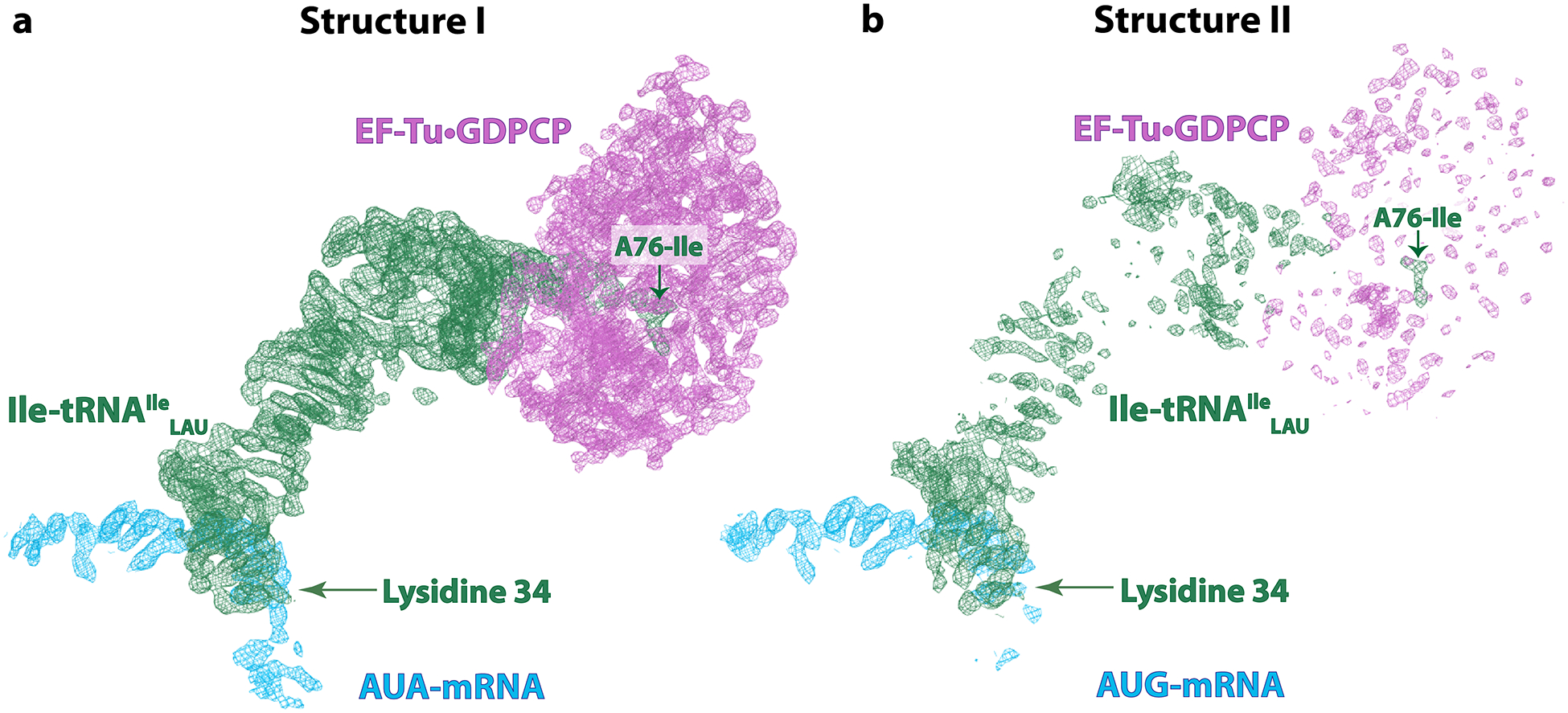 Extended Data Fig. 4