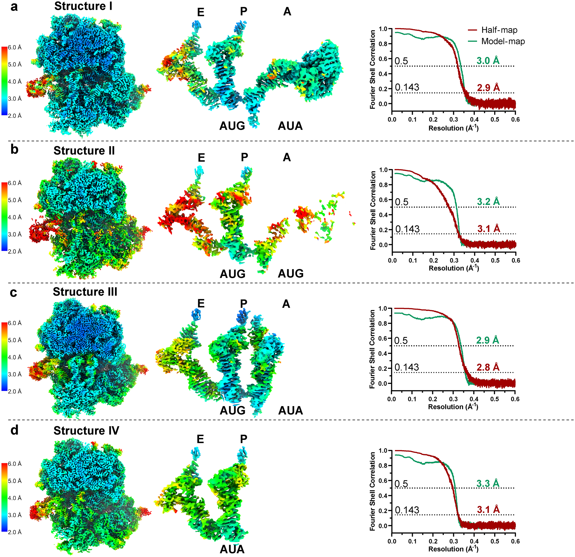 Extended Data Fig. 3