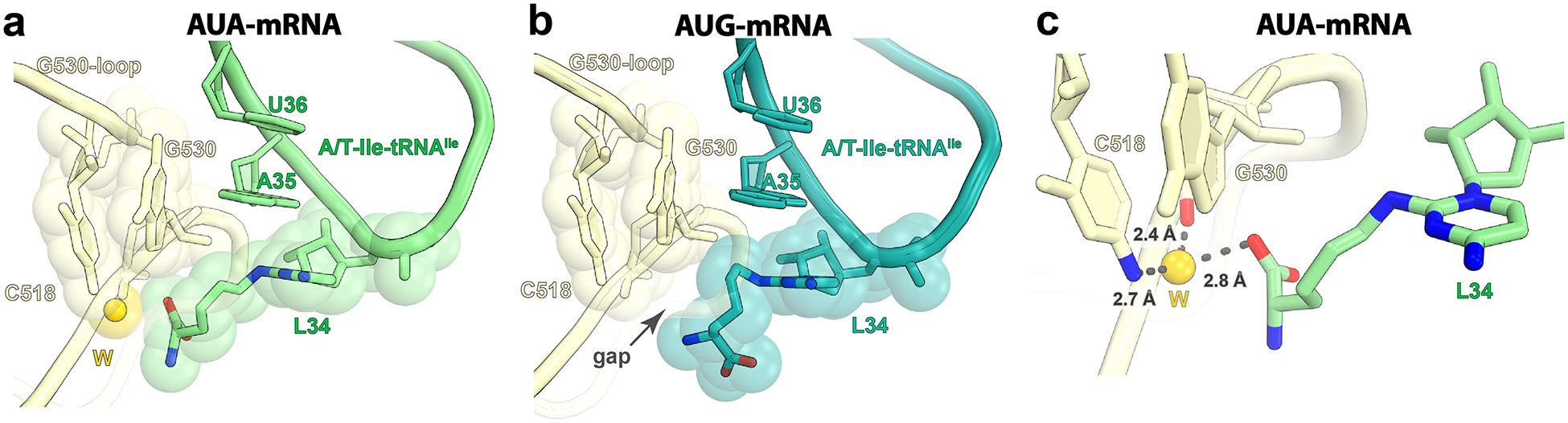 Fig. 4: