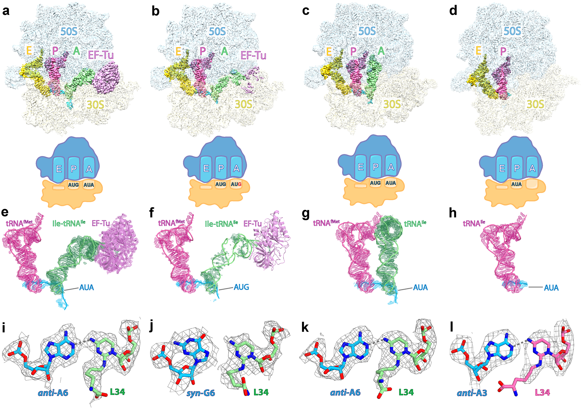 Fig. 1: