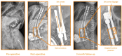 Fig. 7