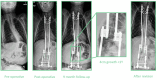 Fig. 6