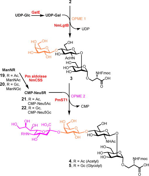 Scheme 3