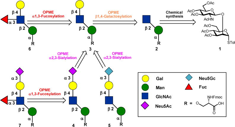 Scheme 1