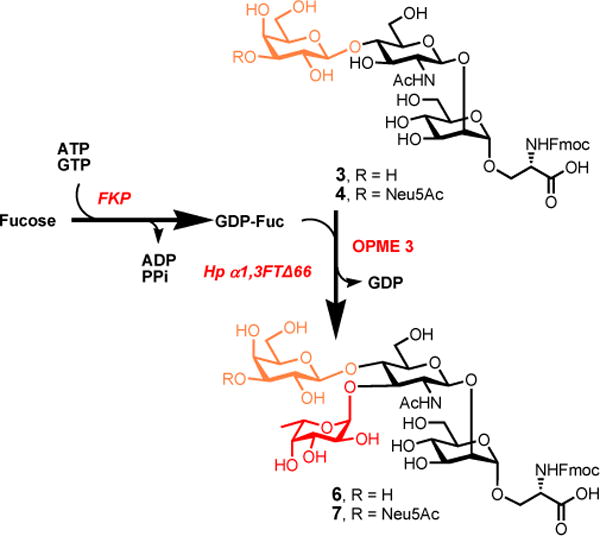 Scheme 4