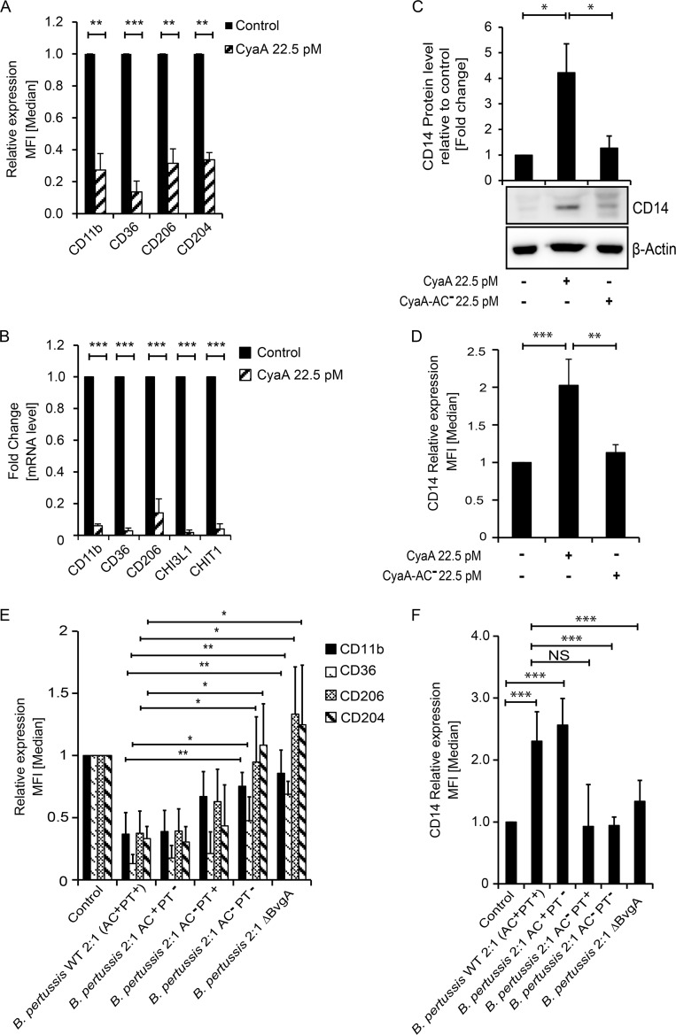 FIG 2