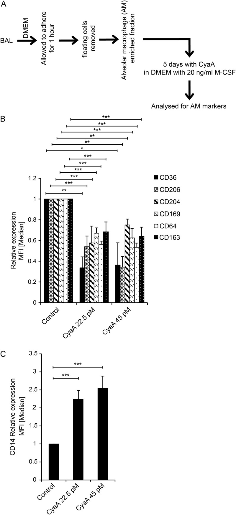 FIG 6