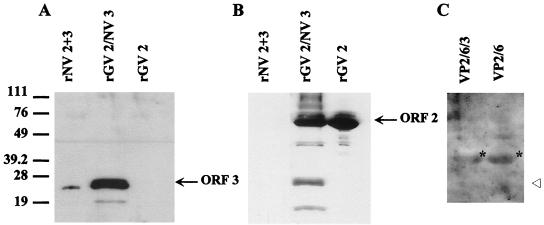 FIG. 9