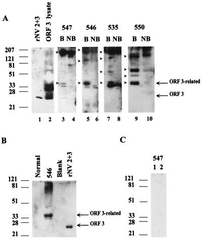 FIG. 10