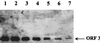 FIG. 7