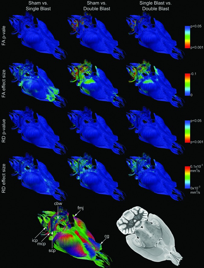 FIG. 6.