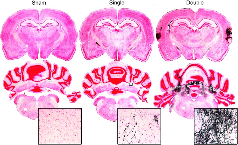 FIG. 7.