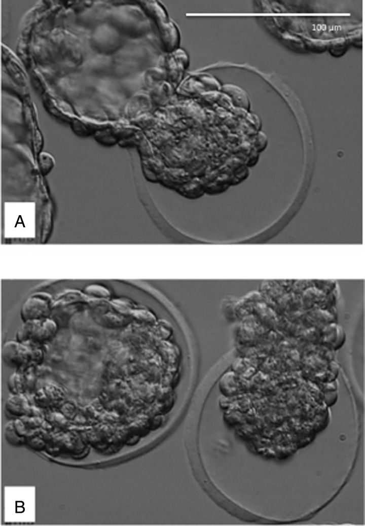 Figure 4