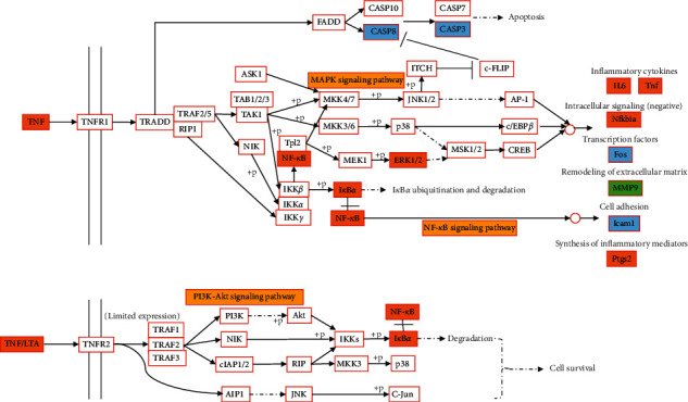 Figure 10