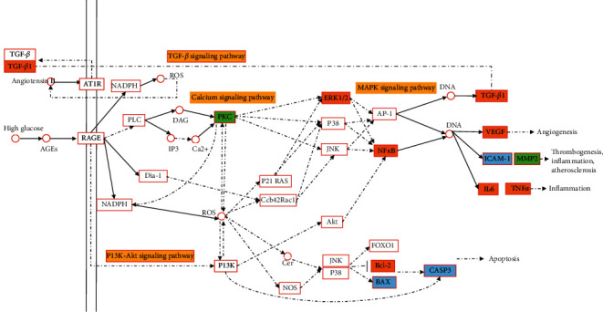 Figure 11