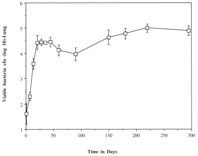 FIG. 1