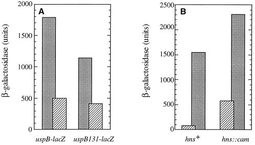 FIG. 7