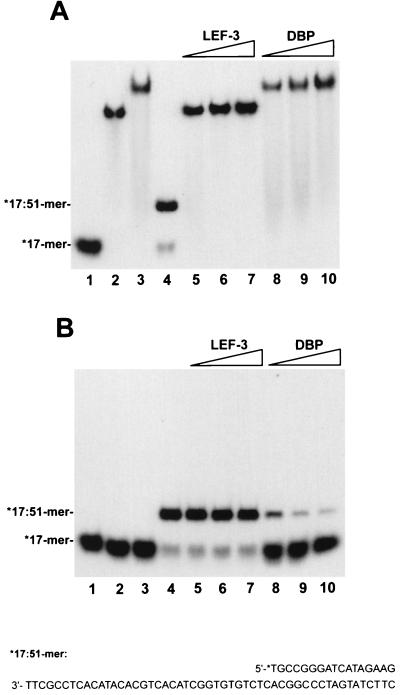 FIG. 6