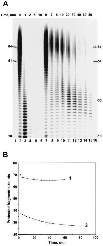 FIG. 5