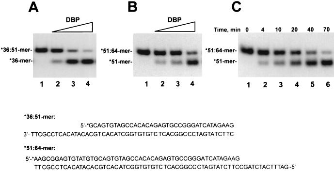 FIG. 7