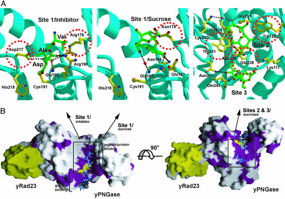 Fig. 4.