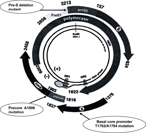 Fig. 1