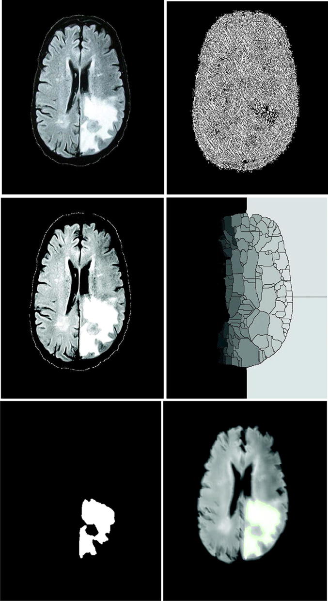 Fig. 6