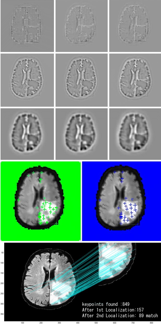 Fig. 8