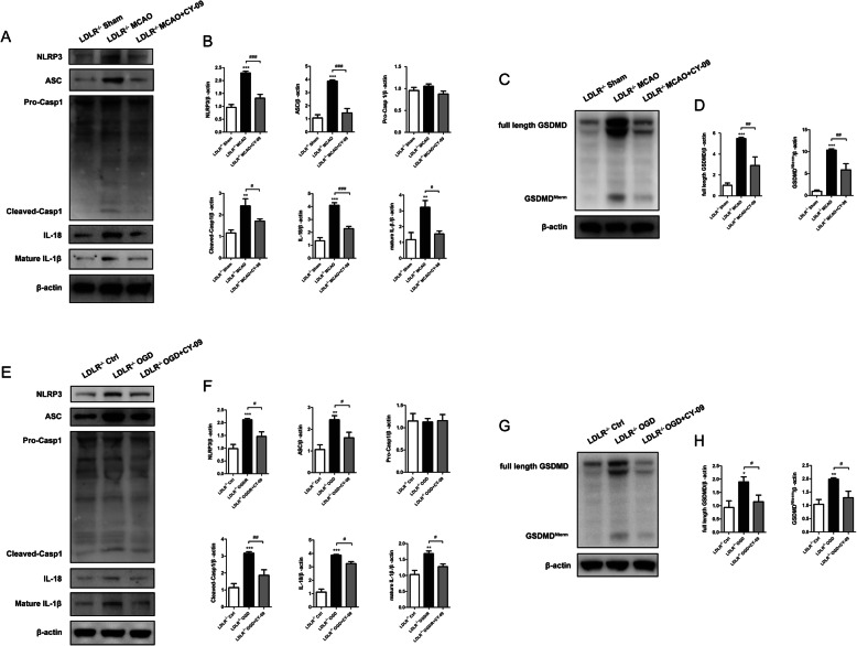 Fig. 9