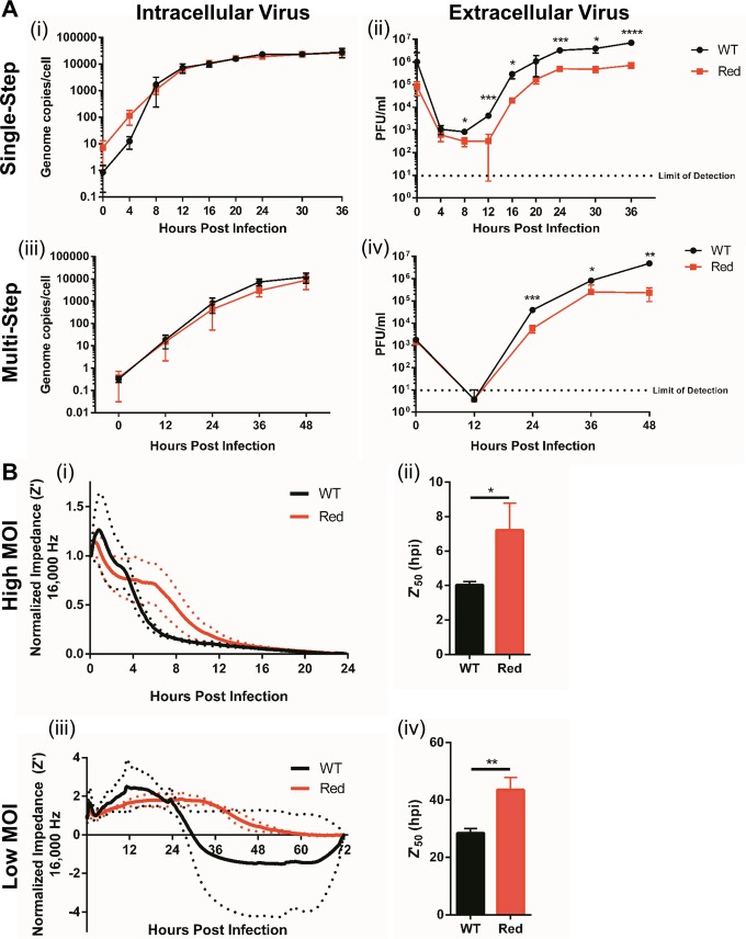 FIG 3 