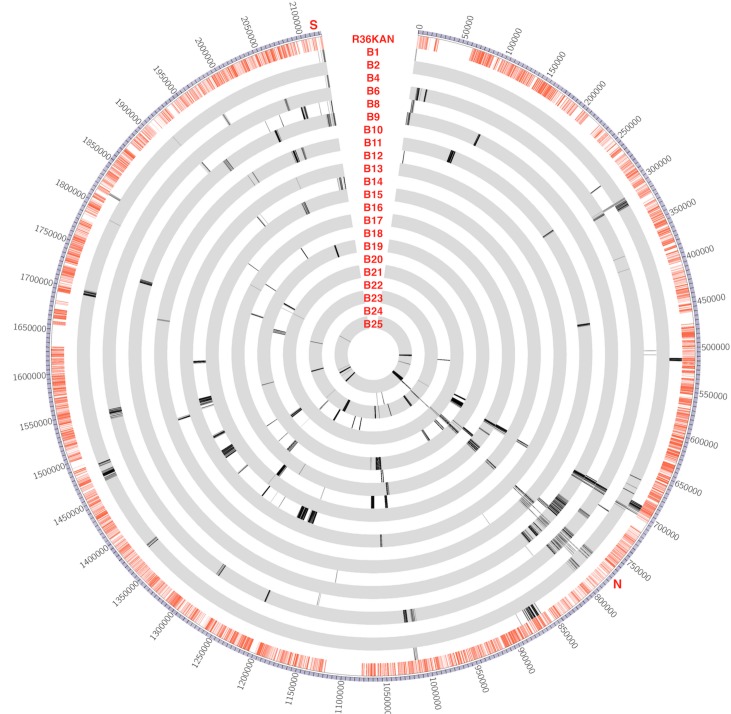 Fig 5