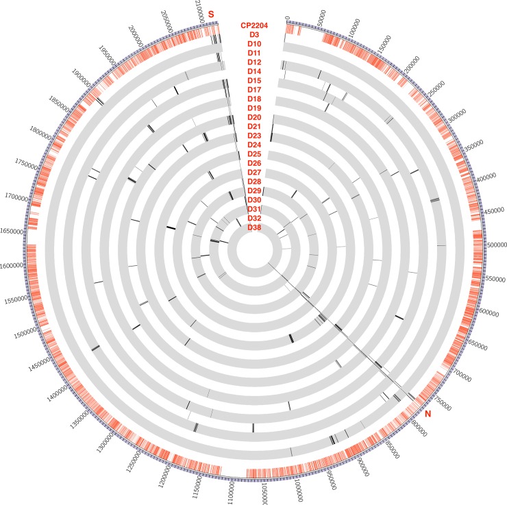 Fig 3