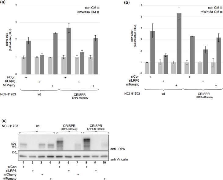 Figure 3—figure supplement 8.