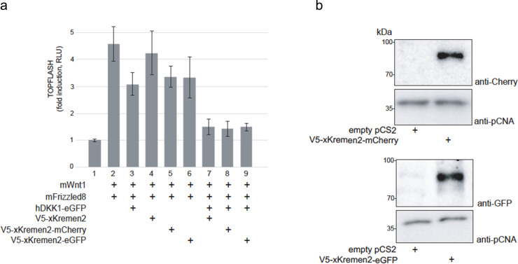 Figure 3—figure supplement 4.