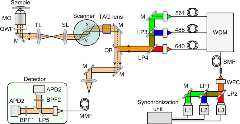 Figure 1—figure supplement 1.