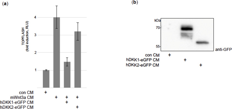 Figure 3—figure supplement 9.