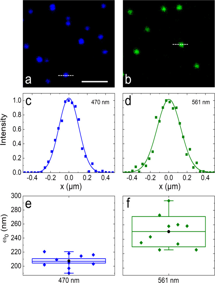 Figure 2—figure supplement 1.