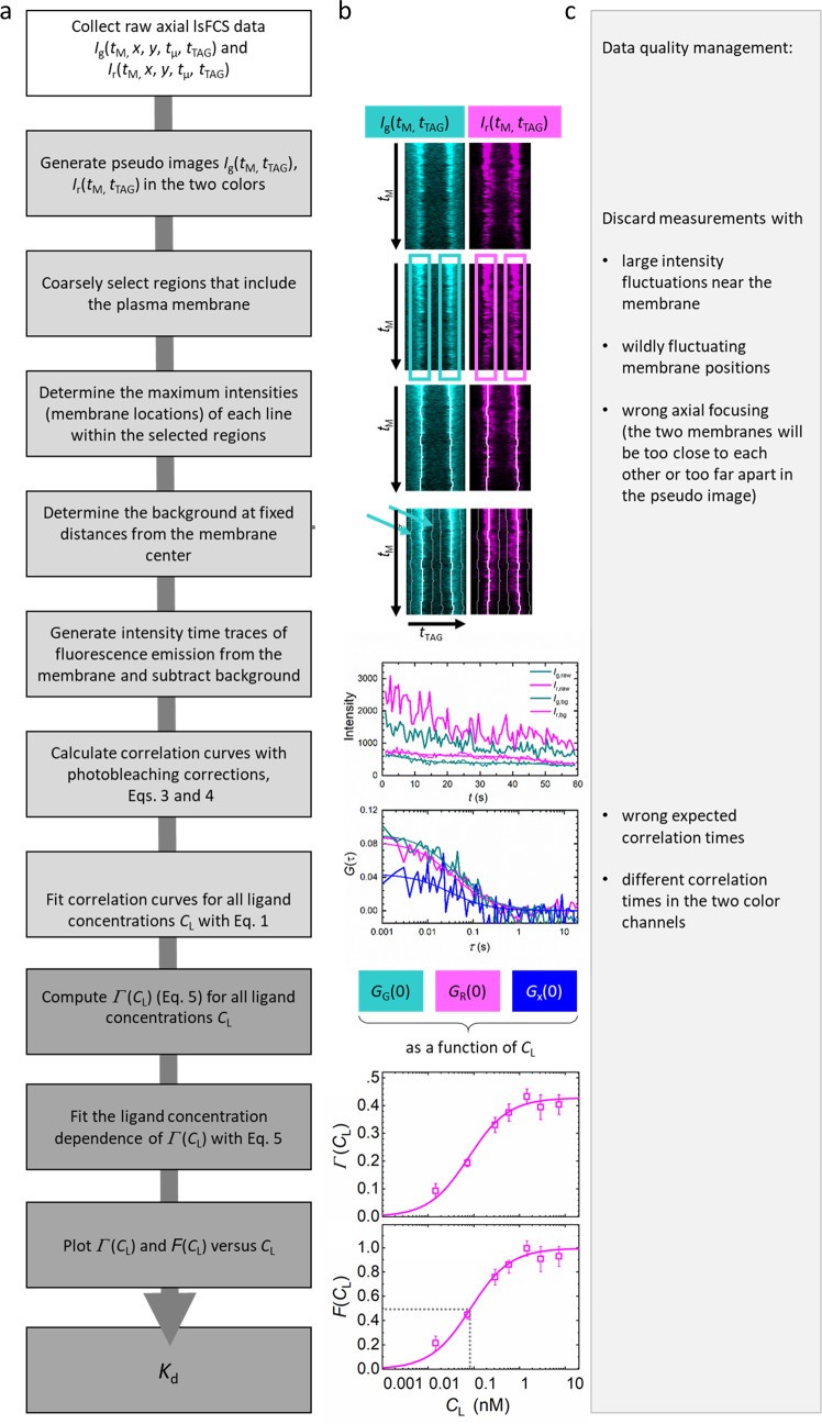 Figure 4—figure supplement 3.