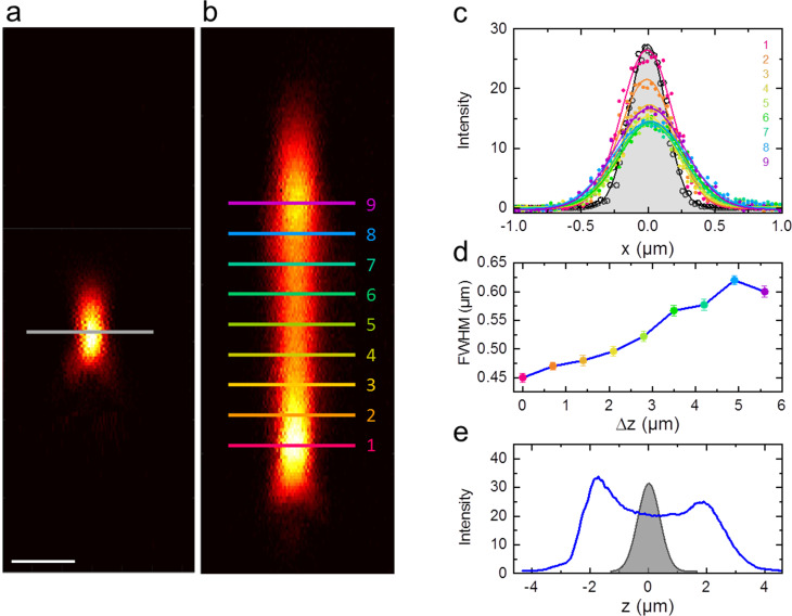 Figure 1—figure supplement 2.