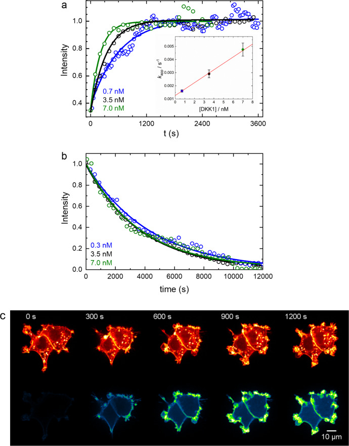 Figure 3—figure supplement 1.