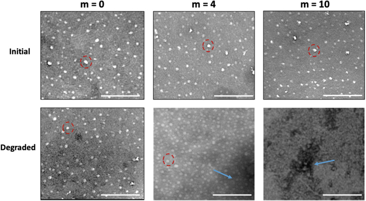 FIG. 10.