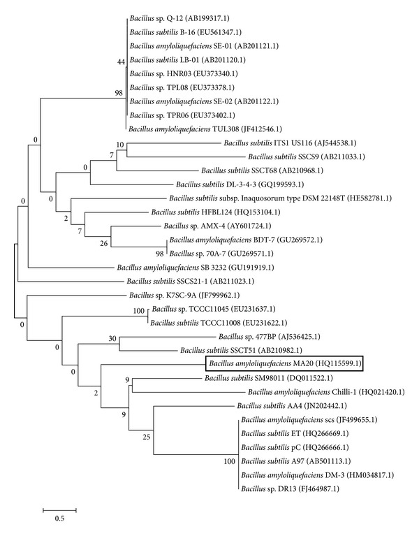 Figure 2