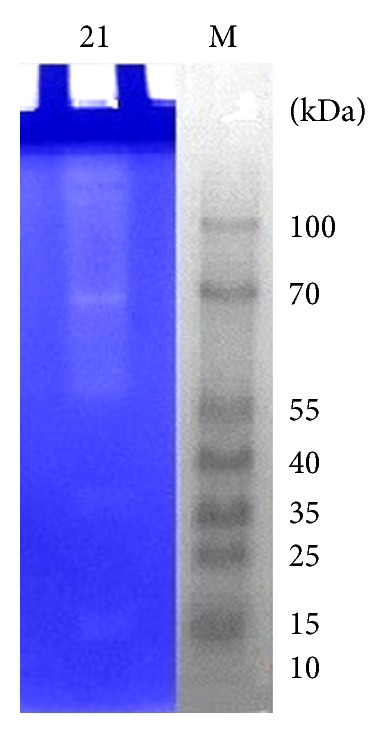 Figure 15