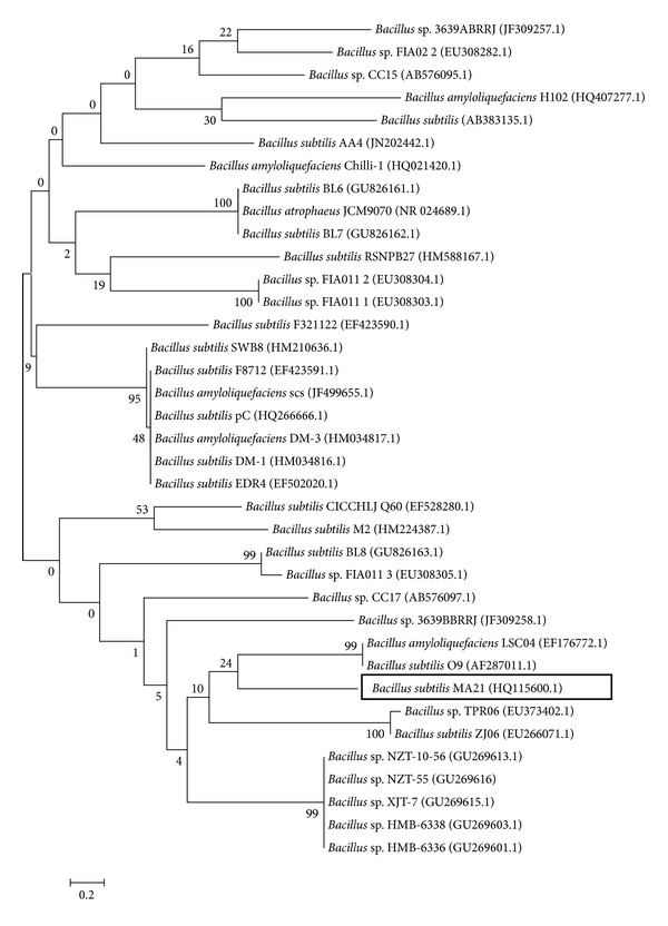 Figure 3