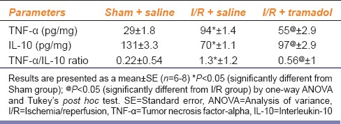 graphic file with name IJPharm-48-275-g005.jpg