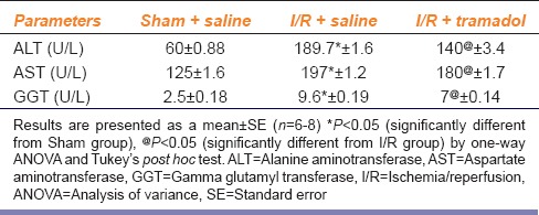 graphic file with name IJPharm-48-275-g001.jpg