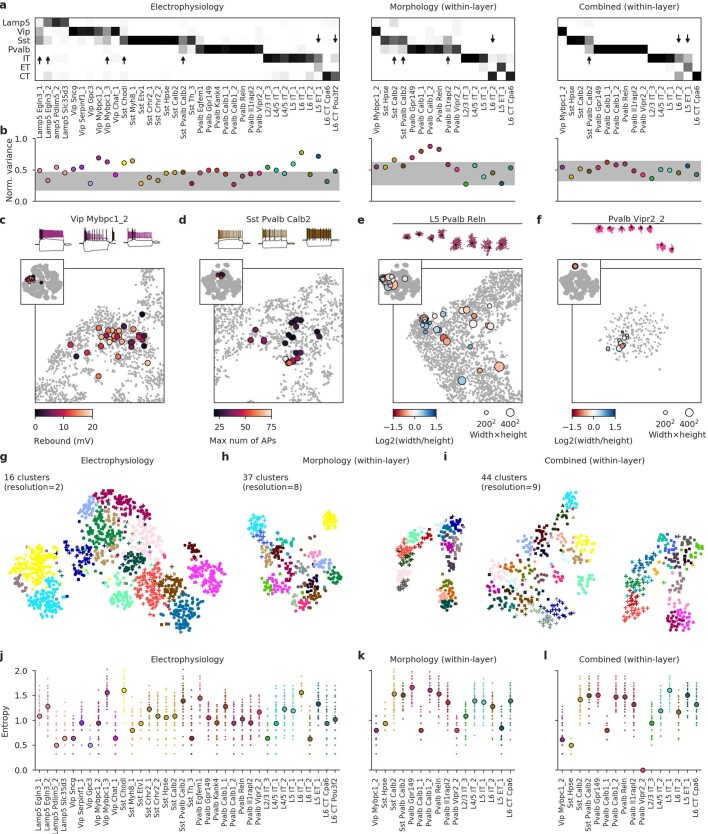 Extended Data Fig. 8